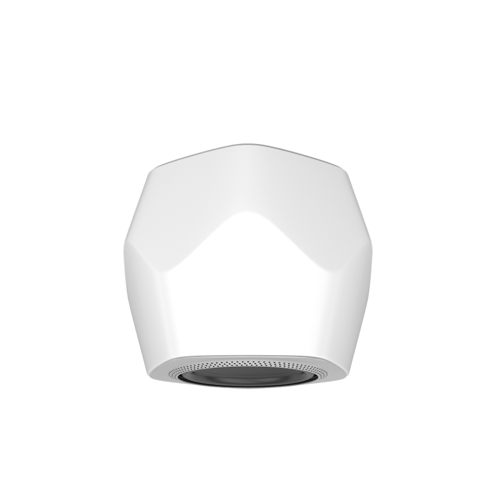 Сабвуфер Beolab 19 B&O