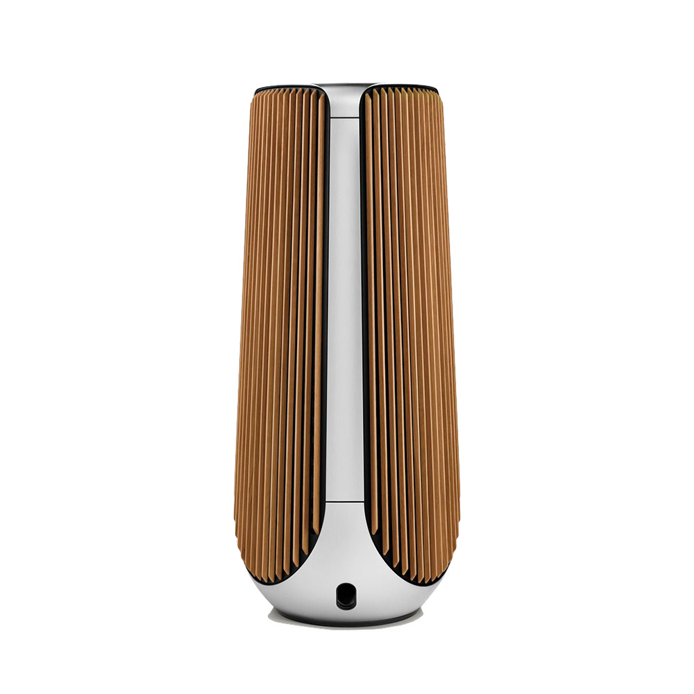 Акустика B&O Beolab 50