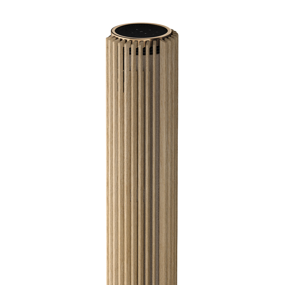 Speaker Beolab 28 B&O test