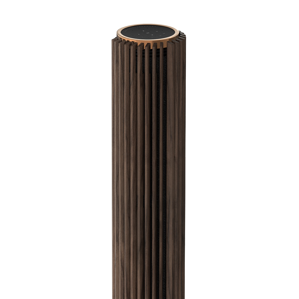 Speaker Beolab 28 B&O test