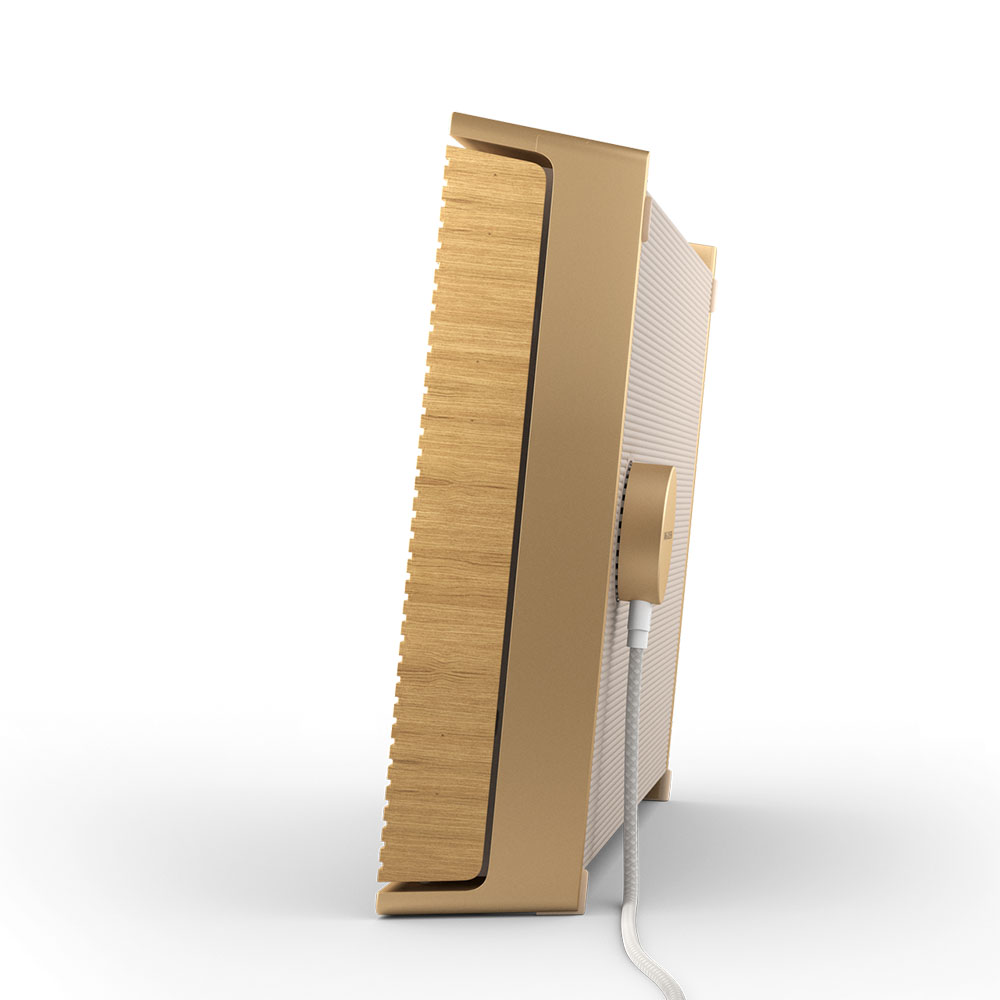 Акустика B&O Beosound Level